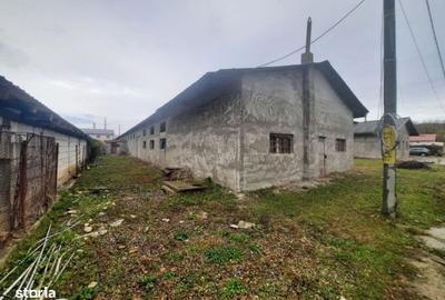 Spațiu comercial, de 720 mp, în Alexandru cel Bun - 4