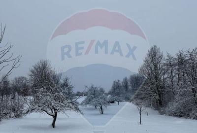 Teren de 4193 mp, în Breb - 2