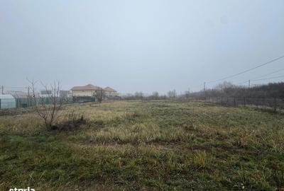 Teren de 1409 mp, în Dumbrăvița - 2