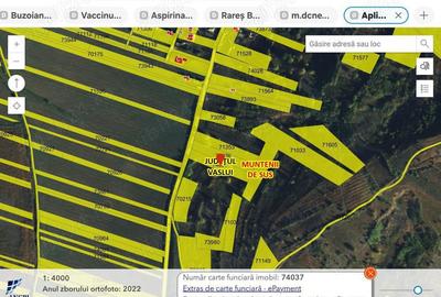 Teren de 2500 mp, în Muntenii de Sus - 1