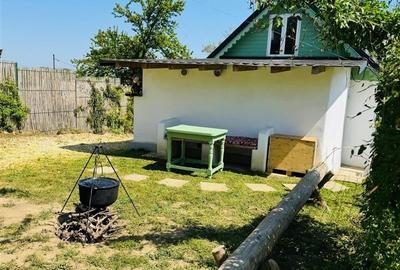 Casa de vanzare in Nufaru - 3