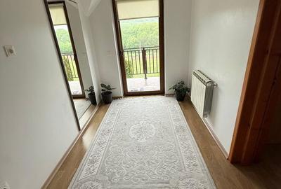 Casă cu 5 camere cu Teren 4300 Mp în Hănțești - 13