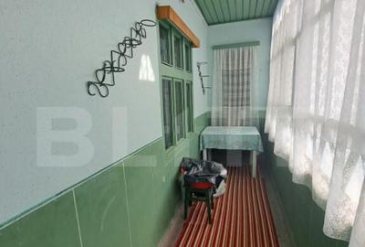 Casa individuala de vanzare in satul Zizin, jude?ul Bra - 10