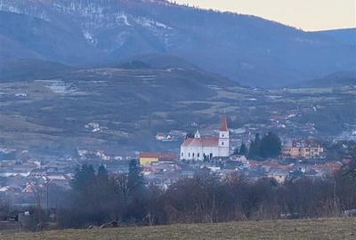 Teren de vanzare in Rasinari posibilitate de racordare la curentul electric - 2
