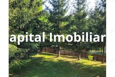 Proprietate Unica in Inima Naturii Galaoaia, Mure? - 4