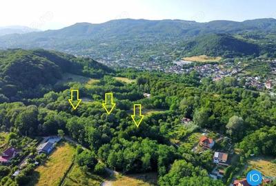 TEREN 6700 MP, INTRAVILAN LANGA PADURE - 9