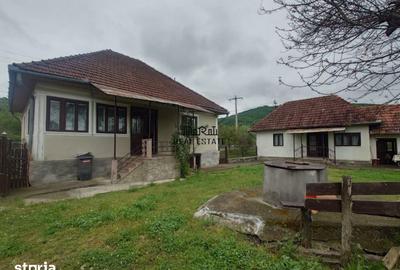 Casă cu 4 camere cu Teren 2651 Mp în Baia de Criș - 3