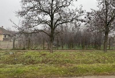Teren de 745 mp, în Cerneteaz