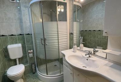 Apartament cu 3 camere decomandat, mobilat în Aradului - 15