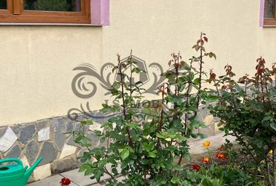 Birou, de 80 mp, în Florilor - 1