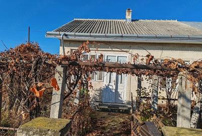 Casă cu 2 camere cu Teren 810 Mp în Leorda - 3