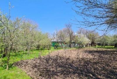 Casă cu 4 camere cu Teren 1828 Mp în Drăcșenei - 5