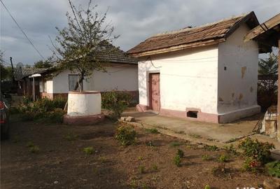 Casă cu 5 camere cu Teren 2800 Mp în Corabia - 2