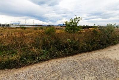 Teren intrare Sanpetru 10.689mp intravilan! - 6