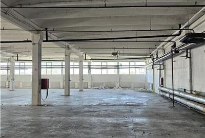Spatiu Industrial - 3000 mp - Productie - Depozitare - Distributie - 13