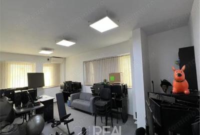 Casă cu 10 camere în Aviatorilor - 6