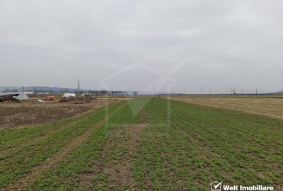 Teren industrial 4175mp, Apahida