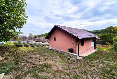 Casă cu 2 camere cu Teren 2647 Mp în Valea Mare - 11