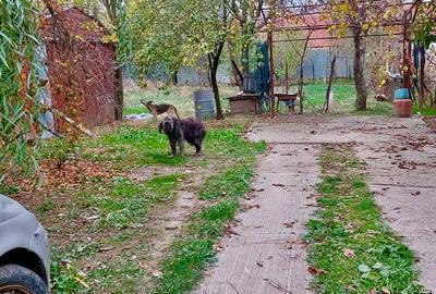 Casă cu 6 camere în Iezureni - 2