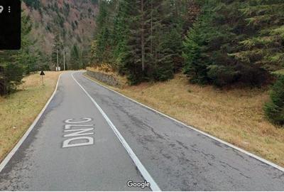 TEREN EXTRAVILAN PADURE PISCUL NEGRU ARGES - 2