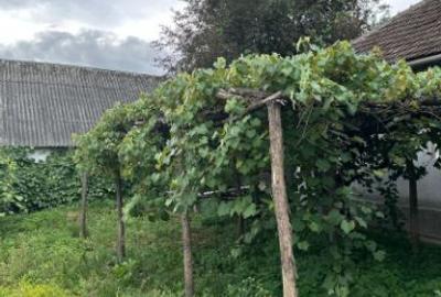 Casă individuală cu 3 camere cu Teren 3100 Mp în Asuaju de Jos - 6