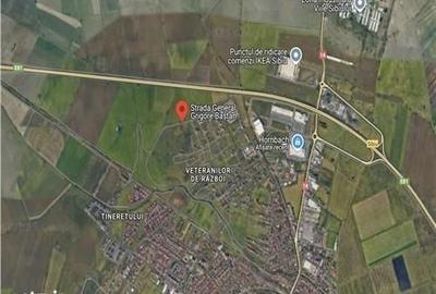 Teren de 6500 mp, în Veterani - 1