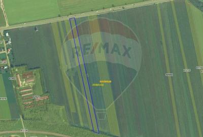 Teren agricol extravilan de 15400 mp, în Ion Neculce - 1