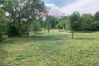 Teren de vanzare 990mp in Barzava, jude?ul Arad - 3