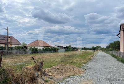 ???? Teren intravilan 1503 mp cu dubla deschidere Aleea - 2