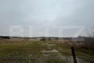 Teren de 1716 mp, în Priseaca - 4