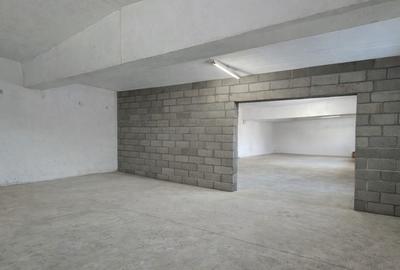 Spațiu comercial, de 350 mp, în Central - 2