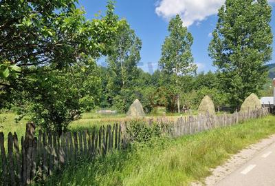 Teren Construcții intravilan de 2300 mp, în Arefu - 6