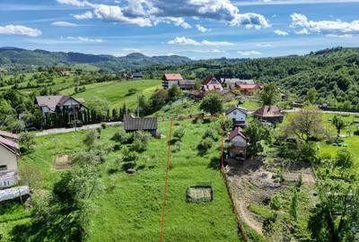 Teren Construcții intravilan de 2000 mp, în Peștera - 10