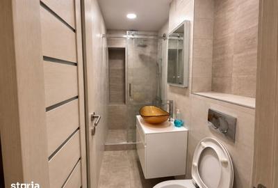 Apartament cu 2 camere decomandat în Nerva Traian - 6