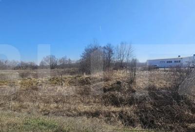 Teren de 3500 mp, în Sântuhalm