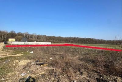 Teren de 1000 mp, în Domnești