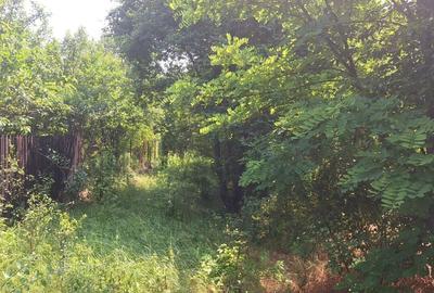 Butimanu Teren Intravilan Utilitati OFERTA - 6