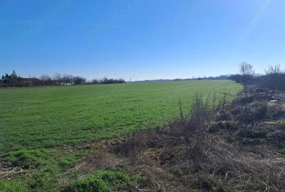 Teren de 20000 mp, în Șagului