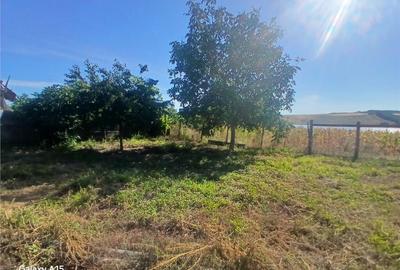 RECO Casa de in Fegernic cu 2541mp teren - 1