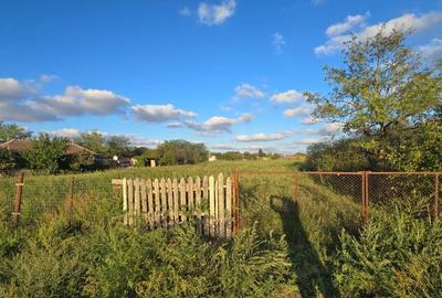 Teren Intravilan 4000 mp Potarnichea comuna Topraisar,utilitati langa - 6