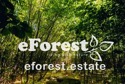 Loturi de vanzare, ce mai mic pret din zona! - 3