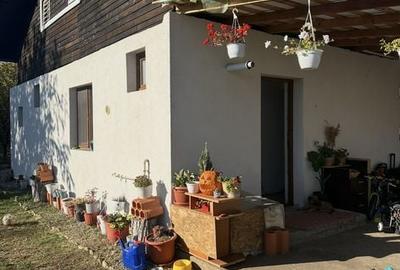 Casă cu 2 camere cu Teren 2500 Mp în Central - 1