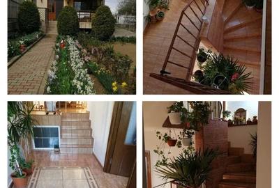 VILA D+P+E (Demisol + Parter + Etaj), zona KM 4-5 - 3