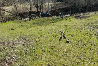 Teren de 2650 mp, în Malurile - 2