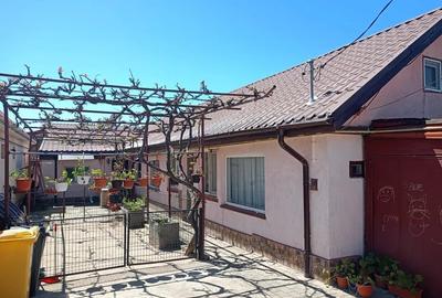 Casa Viile Noi,  6 camere, 579 mp