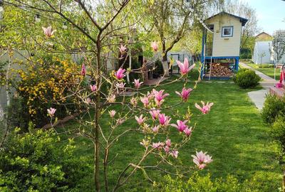 Casă cu 4 camere în Sânandrei - 2