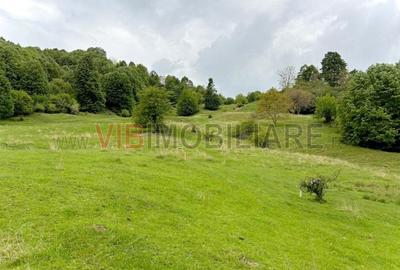 Teren de vanzare Breaza – Nistoresti, Str. Muresului - 8