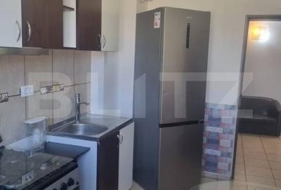 Inchiriere apartament 2 camere | decomandat | Zona Palas | - 4