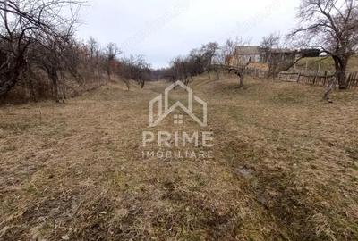 Teren de 1944 mp, în Pianu