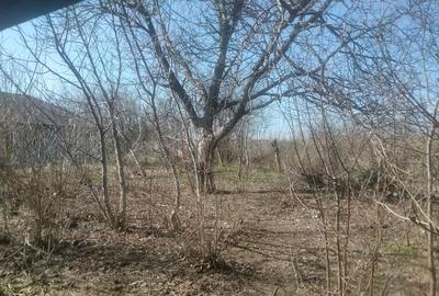 Casă cu 3 camere în Ilfoveni - 4